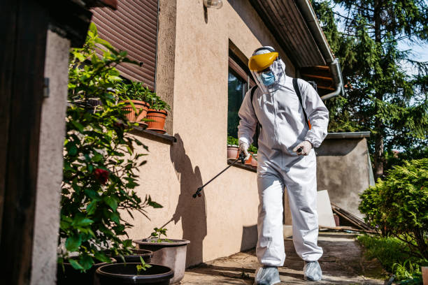 Best Pest Inspection Near Me  in Bettendorf, IA